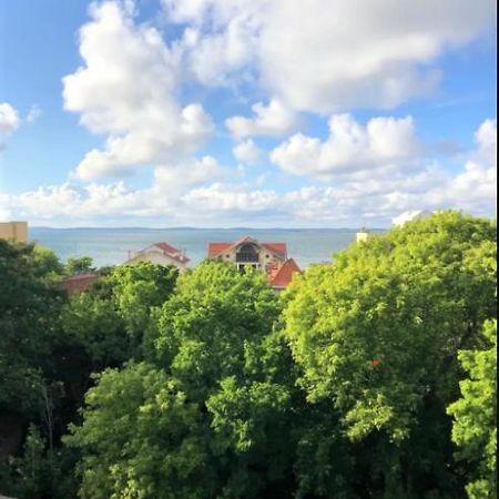 Appartement Vue Sur Baie Et Ocean, 100 M De La Plage Et Du Centre Par Chemin Prive Аркашон Екстериор снимка