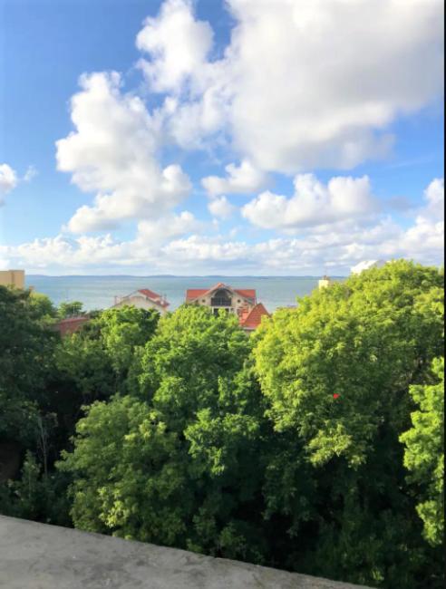 Appartement Vue Sur Baie Et Ocean, 100 M De La Plage Et Du Centre Par Chemin Prive Аркашон Екстериор снимка
